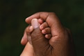 holding a child's hand