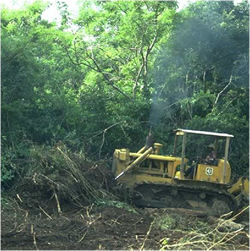 bulldozer clearing land
