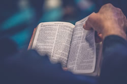 person reading God's Word