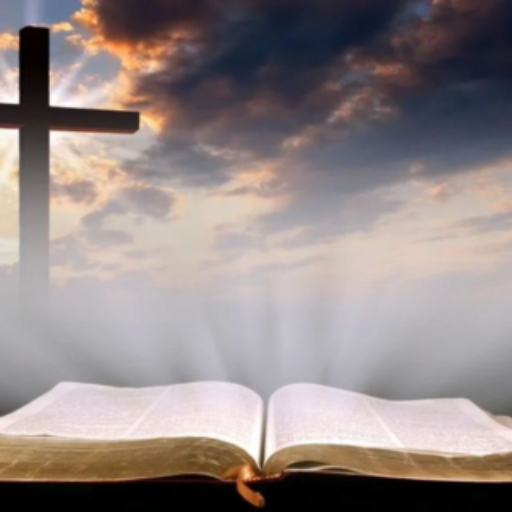 Best Chronological Bible Studies